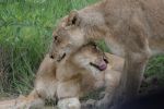 safrica_dec_13_image39.jpg